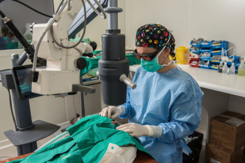 Transplante Córnea Artificial Água Funda - Transplante Ocular Completo