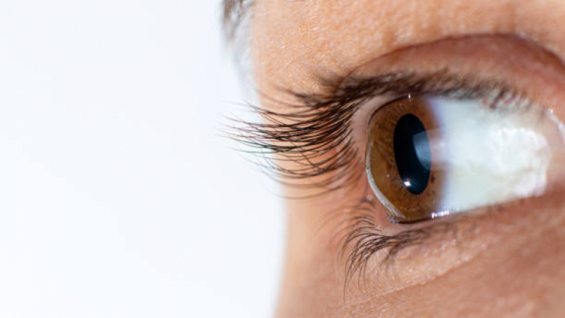 Transplante Ocular Valores Jardins - Transplante de Córnea Lamelar